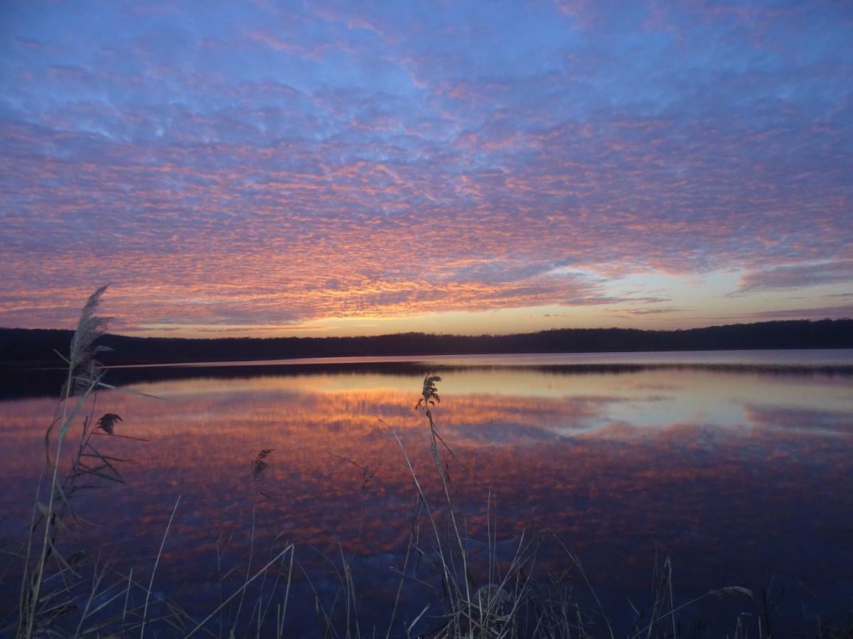 Gite De L'Etang Belval-en-Argonne Zewnętrze zdjęcie