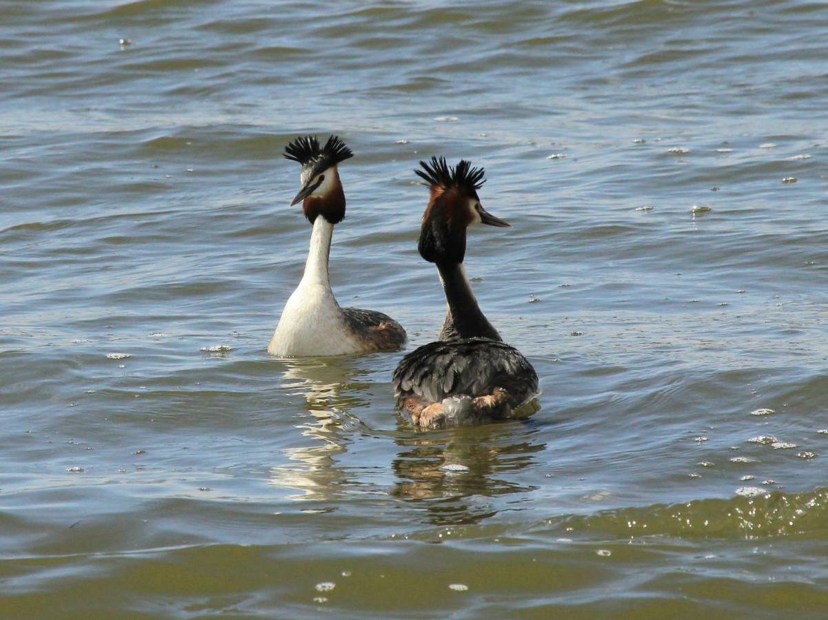 Gite De L'Etang Belval-en-Argonne Zewnętrze zdjęcie