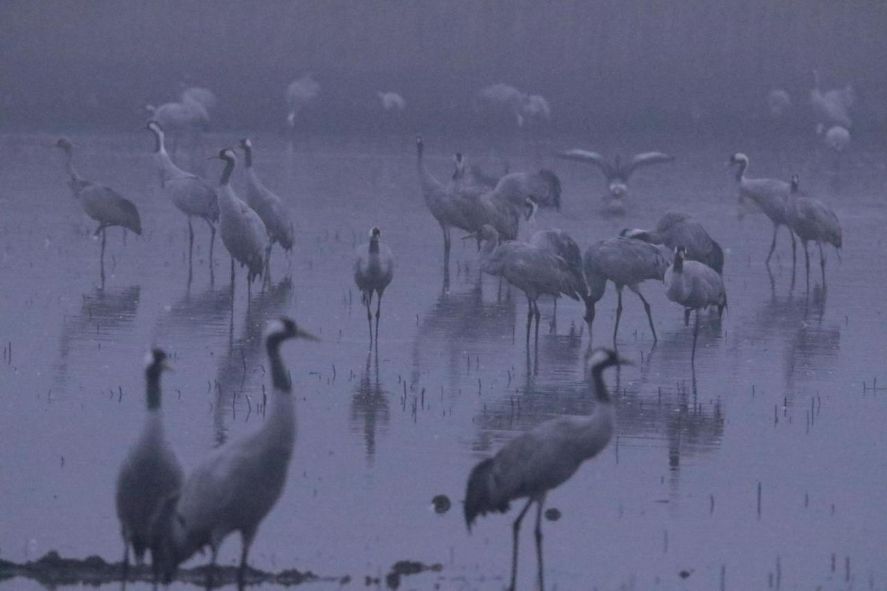 Gite De L'Etang Belval-en-Argonne Zewnętrze zdjęcie